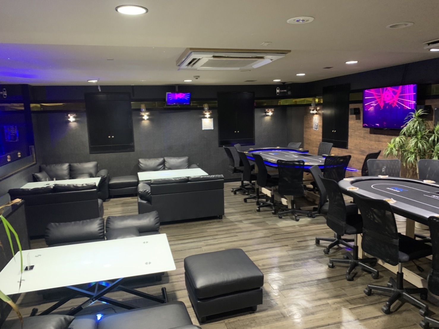 キングスの画像 4